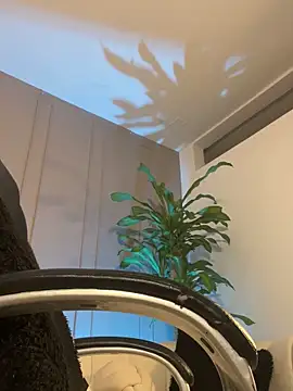 Frank_Farrellのウェブカメラショー