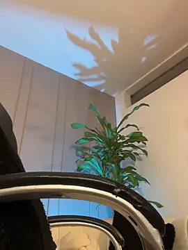 Frank_Farrell élő XXX-chatje