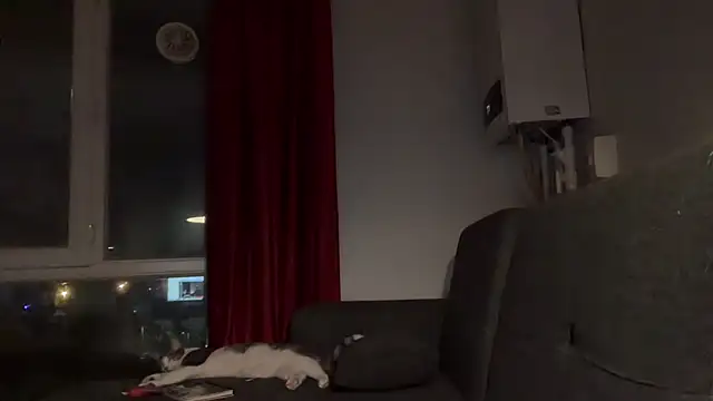 mistressayc's Live XXX Chat