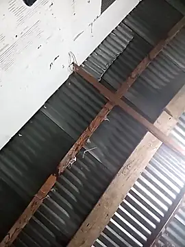 Show de webcam de Cristian_Camila