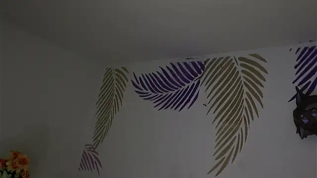 Sweet_Sammy_ élő XXX-chatje