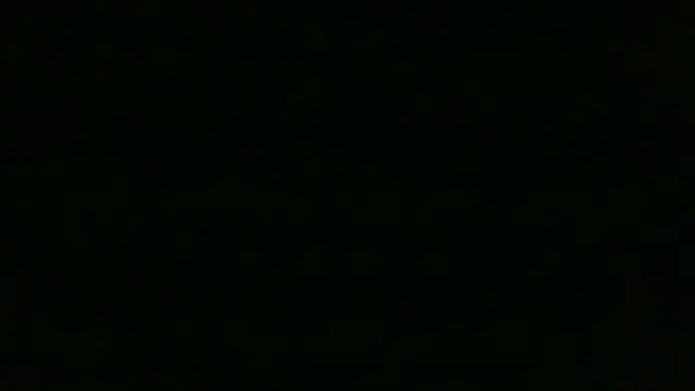 Show Webcam de chichoplus