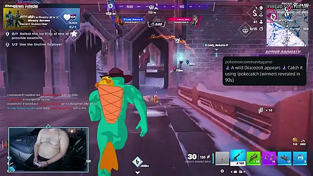 Show webcam de bottombeargaming