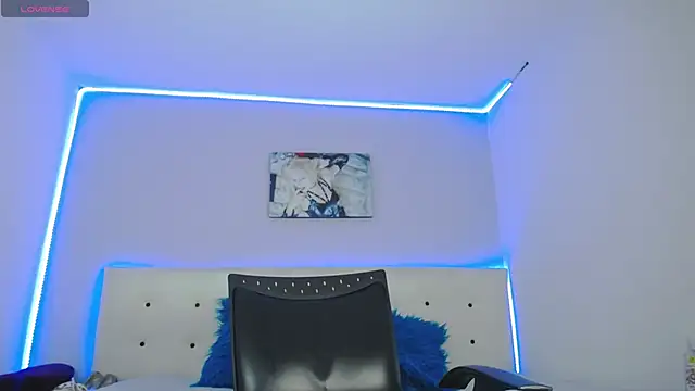 valka_01n Webbikameraesitys