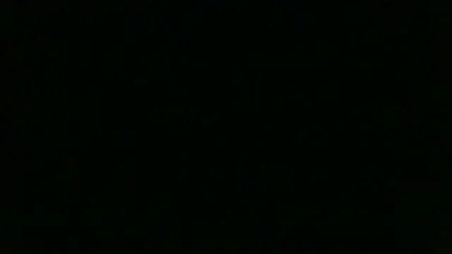 Show webcam de chichoplus