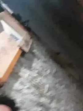 Morillobx21 Webcamshow