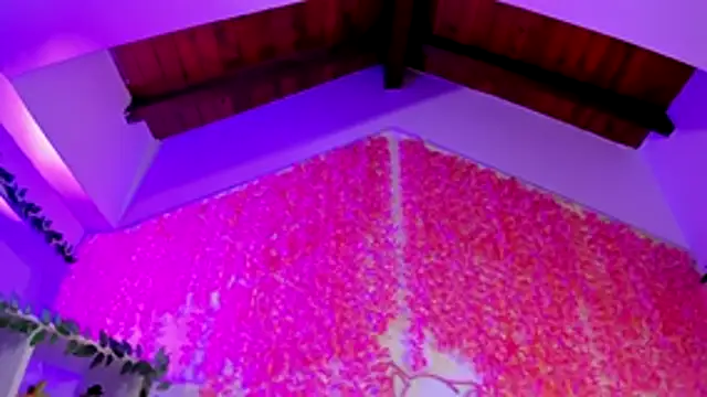 _hanna_sky 라이브 XXX 채팅