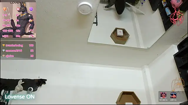 subarashi_ishi69 Adlı Modelin Canlı XXX Sohbeti