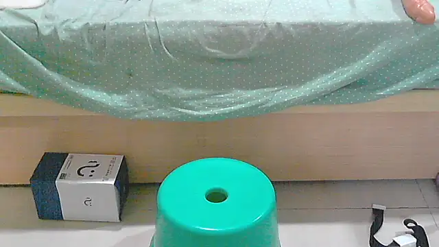 Show webcam de Taiwan_Taipei51