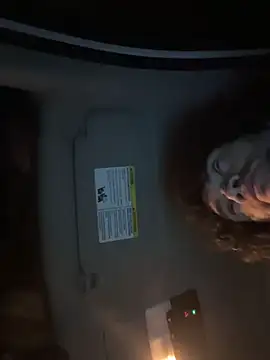 Teddy4420 Webcam Show