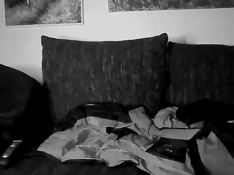 barny995 Webcam show