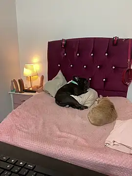 Živý XXX chat shara_