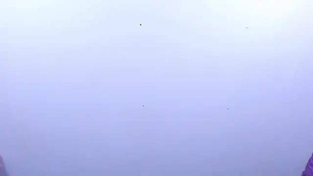 ArmandoSteel4u: онлайн-секс-чат