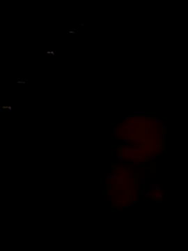 wariacik0024 – Kamerová šou