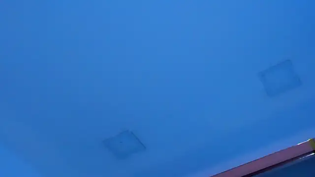 Sebax_Young élő XXX-chatje