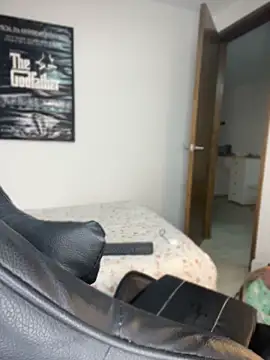 Max_valiantn Webbikameraesitys