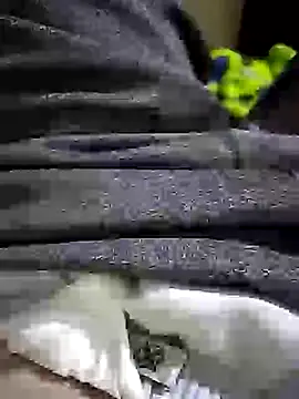 Gallanttrox Show in webcam