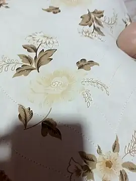 MESMO4235 Webcam-Show