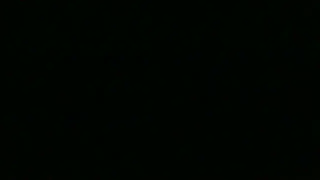 chichoplus Show Webcam