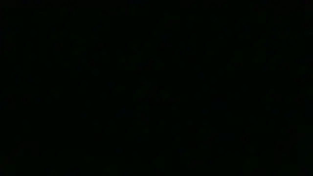 Show webcam de chichoplus