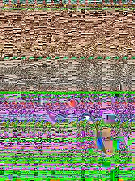 TranSexualJade95 即時 XXX 聊天