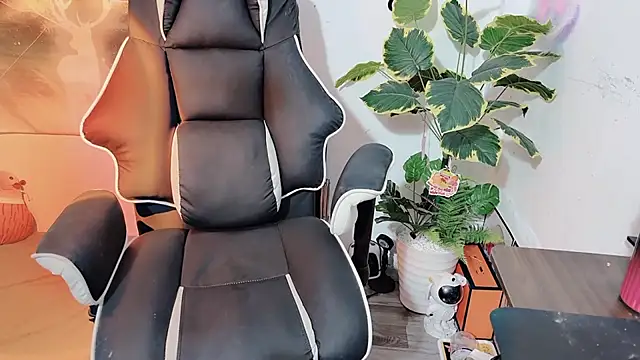 عرض كام Bino119