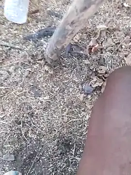 แชท XXX สดของ Ajith_mvi