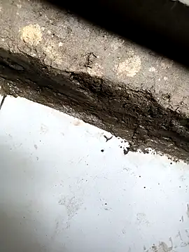 Rocky_pune 网络视讯表演