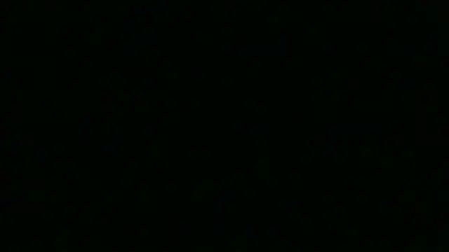 Show webcam de chichoplus