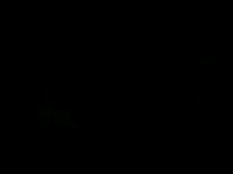 Show de webcam de cabecaoegreluda