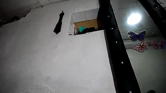 nattashafoxx Live XXX-chat