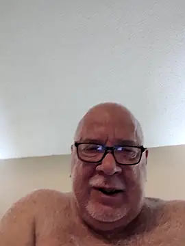 Show webcam de Bearbuzz