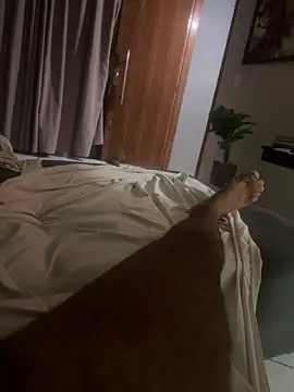 Show de adgato na webcam