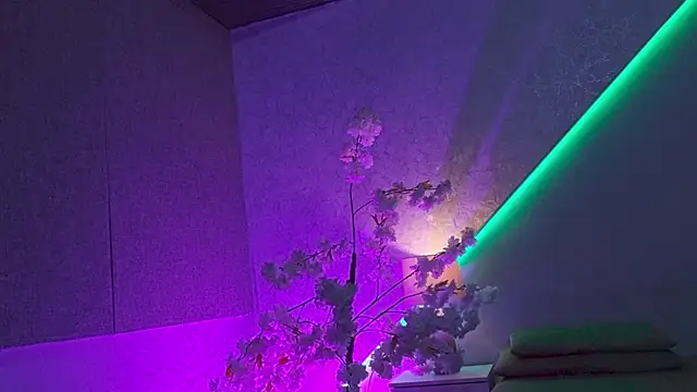 Violettcollins 라이브 XXX 채팅