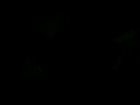 Show de cabecaoegreluda na webcam