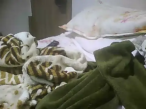 cabecaoegreluda Webcamshow