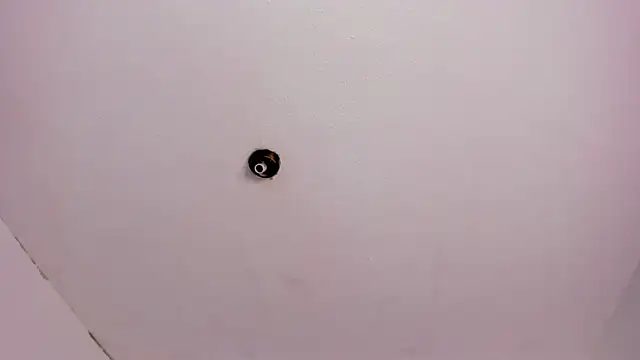 Živý XXX chat AnnyCherry_