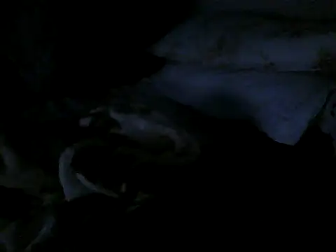 Show de webcam de cabecaoegreluda