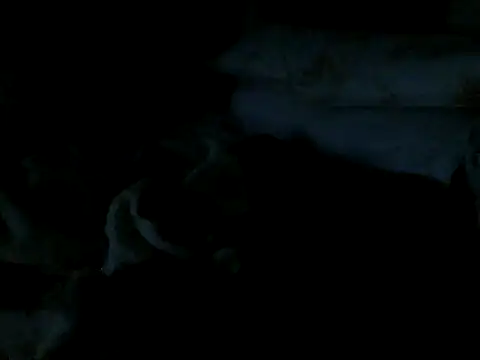 Show de cabecaoegreluda na webcam