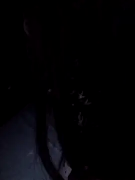 Hottiesophie's Live XXX Chat