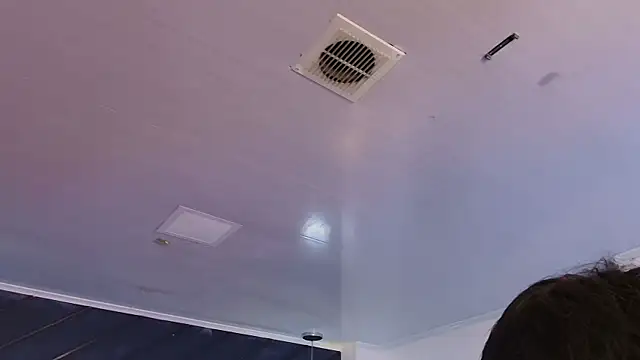 Petesevans Adlı Modelin Web Kamerası Şovu