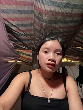 beobeo_2xx 网络视讯表演