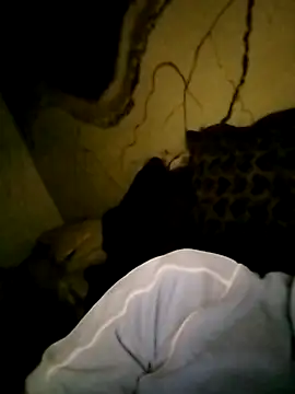 عرض كام Nayakskhon23