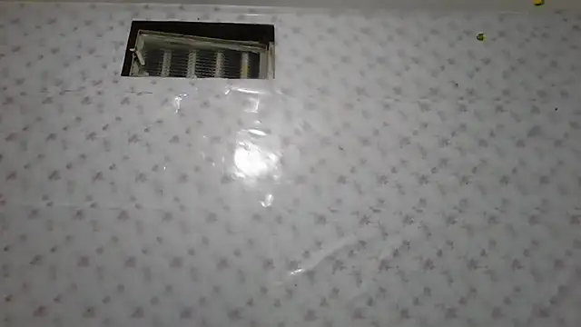 Chat XXX en directo de Roselingalvis13