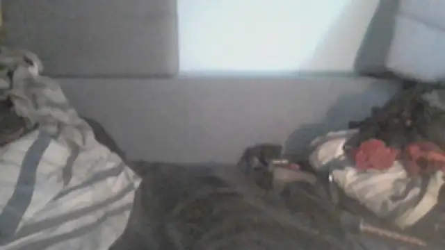 Вебкам-шоу chceciedalsiebie