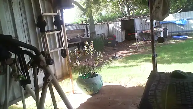 Show de herbie010666 na webcam