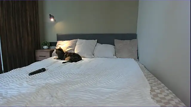 Chat XXX en directo de IvyHornyCore