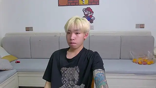 Similu-001 Show in webcam