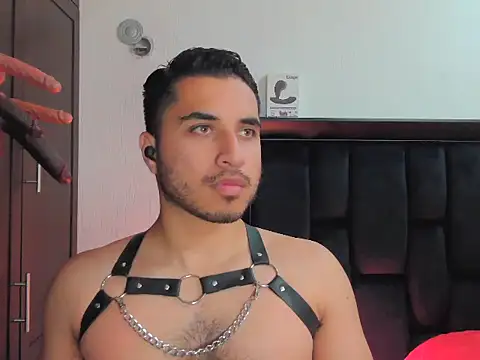 Philip_Reid_ webcam show