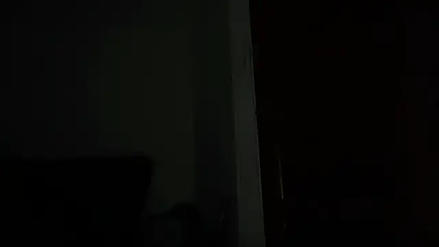 Show webcam de divinepower9